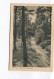 CPSM PF - Holleweg - Holterberg Holten - Cachet De 1954 - - Holten