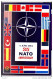 NATO, 35° ANNIVERSARIO, VERONA 1984, ANNULLO SPECIALE FIGURATO SU CARTOLINA DEDICATA, - NAVO