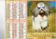 Calendrier Des Postes 1993 - Chiot Golden Retriever - Caniche - Fleurs - Grand Format : 1991-00