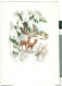 BUON NATALE E BUON ANNO - 1966 - Hørsholm -RIMINI (ITALIA) - Covers & Documents