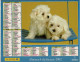 Calendrier Des Postes 2002 - Chiots Puppies Sur Chaise Bleue, Golden Retriever  - Fleurs Cosmos, Pierre - Grand Format : 2001-...