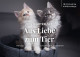 Autriche** - Carnet/Boekje + 10 CP/PK - Pour L'amour Des Animaux / Uit Liefde Voor Dieren / Aus Liebe Zum Tier - Rabbits