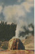 Lone Star Geyser, Yellowstone National Park, Wyoming Near The Grand Loop Highway Between Old Faithful And West Thumb - Yellowstone