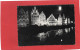 BELGIQUE---BRUXELLES--BRUSSEL---Illumination Du Quai-aux-Herbes---voir 2 Scans - Brussels By Night