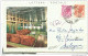 LETTERA POSTALE - STAMPA PRIVATA - VIAGGIATA 1973 - CON BELLISSIME FOTOGRAFIE. - Hôtellerie - Horeca