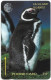 Falklands - C&W (GPT) - Jackass Penguin, 1CWFB, 1993, 40.000ex, Used - Islas Malvinas