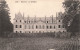 FRANCE - Divonne - Le Château - Carte Postale Ancienne - Divonne Les Bains