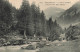 FRANCE - Pralognan - Le Pont De Chollière Et Le Petit Mont Blanc - Carte Postale Ancienne - Pralognan-la-Vanoise