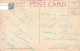 ETATS-UNIS - The North Woods- Colorisé - Carte Postale - Other & Unclassified