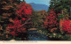 ETATS-UNIS - New Hampshire - White Mountains - Moat Mountain And Swift River - Conway - Colorisé - Carte Postale - White Mountains