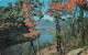 ETATS-UNIS - Postcard James River Gorge Blue Ridge Mountains Buena Vista Virginia- Colorisé - Carte Postale - Sonstige & Ohne Zuordnung