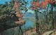 ETATS-UNIS - Postcard James River Gorge Blue Ridge Mountains Buena Vista Virginia- Colorisé - Carte Postale - Other & Unclassified