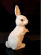 HASE Rosenthal Classic Skulptur Weiss - Perfekt - Augen Ohren Nase Farbig - Altri & Non Classificati