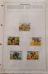Delcampe - 2484- LOT De 172 Timbres De Collection - UM-AL-QIWAIN, TOGO, PHILIPPINES, BAHAWALPUR, SAO TOMÉ, Etc - Voir Scans - Collections (sans Albums)
