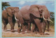 Bêtes D'Afrique Orientale - Eléphants - East African Game - Stamps Timbres - Kenya