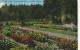 Rose Garden, Washington Park, Portland, Oregon  Home Of The International Rose Test Garden - Portland