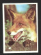 Mockba Calendrier Fox Vos 1990 Kalender Calendar Htje - Small : 1981-90