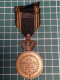 MEDAILLE DES PRISONNIERS DE GUERRE 1940/1945, BELGIQUE WW2 - Belgio