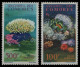 Komoren 1962 - Mi-Nr. 48 & 50 ** - MNH - Meeresleben / Marine Life - Comores (1975-...)