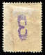 Russia - Zemstvo - Poltava - Schmidt # 16 / Chuchin # 23 - Unused - Zemstvos