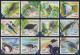 Vanuatu 2012 - Mi-Nr. 1464-1475 ** - MNH - Vögel / Birds - Vanuatu (1980-...)