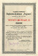 Exploratie-Syndicaat "Pagoeat" N.V. - Winstbewijs II - Amsterdam 1904 Indonesia - Agriculture