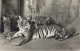 Tigerweibchen Und Junge, Gelaufen 1946 - Tijgers