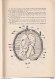 986/35 -- LIVRE Le 10 Centimes Carmin (No 46 , Emission 1884) , Par Capon , 77 Pages , 1942 - Philatélie Et Histoire Postale