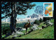 ANDORRE Véritable Carte Maximum Sur CP D'Andorre EUROS ANDORRANS Pièces ISARD Oblit. FDC Illustrée 8.01.2016 SUPERBE - Cartas Máxima