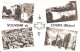 SOUVENIR De COURS (69) Carte Multivues (CPSM  PF) - Cours-la-Ville