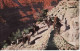 0312100Grand Canyon, Hermit Trail - Grand Canyon