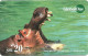 Switzerland: Prepaid GlobalOne - Funny Animals 1. Flusspferd - Suisse