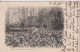 SOUTH AFRICA - Field Of Arum Lilies Near Cape Town 1902 Vignette - Undivided Rear - Afrique Du Sud