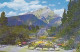 AK 181331 CANADA - Alberta - Alpine Gardens - Banff Avenue And Cascade Mt. - Banff