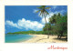 FRANCE - Martinique - Anse L'Etang - Tartane - Cocotier - Carte Postale - Autres & Non Classés