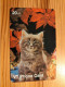 Prepaid Phonecard Switzerland, VT - Cat - Suisse