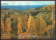 ETATS UNIS BRYCE CANYON NATIONAL PARK UTAH - Bryce Canyon