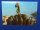 Iraq Baghdad Kahramana Fountain 1974   A 226 - Iraq