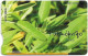 Cyprus - Cyta (Chip) - Herbs - Chamomile & Salvia, 06.2008, 5€, 50.000ex, Used - Chipre