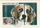 MONACO LOT DE 3 CARTES - CHIEN -CHAT - CHEVAUX  LOI GRAMMONT N° 1031-1032 ET 1033 SUR CARTES MAXIMUM - Maximumkaarten