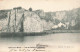 BELGIQUE - Yvoir - Vallée De La Meuse - Vue Des Roches à Fidevoie - Carte Postale Ancienne - Yvoir