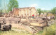 ISRAËL - Capharnaüm - Ruins Of The Anliens Sinagogue At Capernaum - Carte Postale - Israel