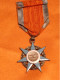 MEDAILLE CHEVALIER MERITE SOCIALE, FRANCE, EMAIL ABIME - France