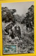 19672 - Singes Dans La Brousse AOF Côte D'Ivoire - Singes