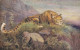 Femelle De L'espèce Léopard « OILETTE » De Raphael Tuck & Sons N° 8785 ANIMAUX SAUVAGES Congo Belge - Ganzsachen