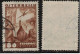 AUSTRIA ÖSTERREICH AUTRICHE 1935 Mi 607 Sc C41  FLUGPOST Air Mail Correo Aéreo Poste Aérienne - Oblitérés