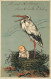 ENFANT ET CIGOGNE - Faire Part De Naissance, Carte Gaufrée Illustrée. - Naissance