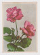 Soviet Union USSR Russia UdSSR URSS 1959 Postal Stationery Card PSC, Entier, Flowers-Roses Pc Sent To Bulgaria /47957 - 1950-59