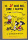 01. Fifteen (15) Snoopy Holt Rinehart Rare Large Paperback Books Retirment Sale Price Slashed! - Livres Illustrés