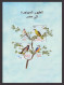 Egypt - 2023 - FDC / Folder - ( Birds - Birds Migrating To Egypt ) - Nuevos